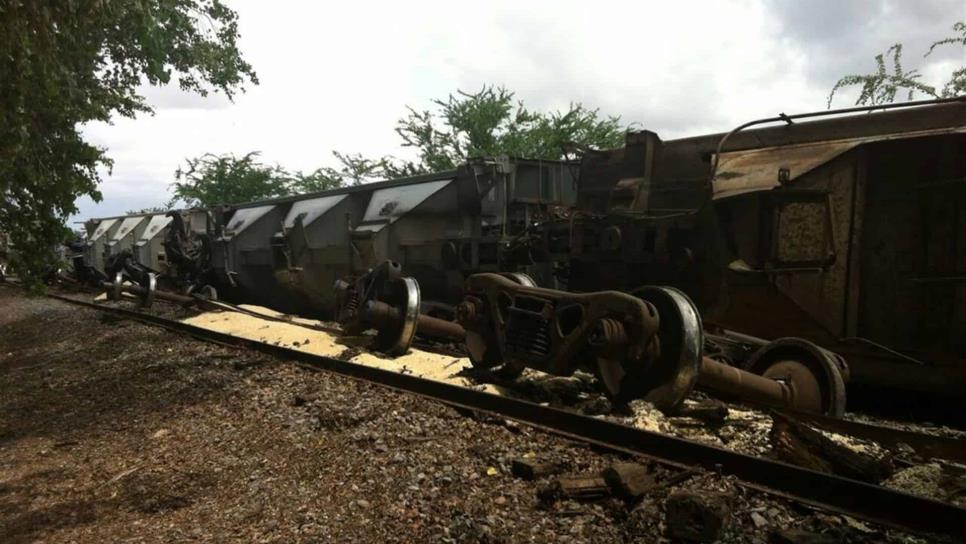 Se descarrila el tren cargado de granos en Santa Cecilia