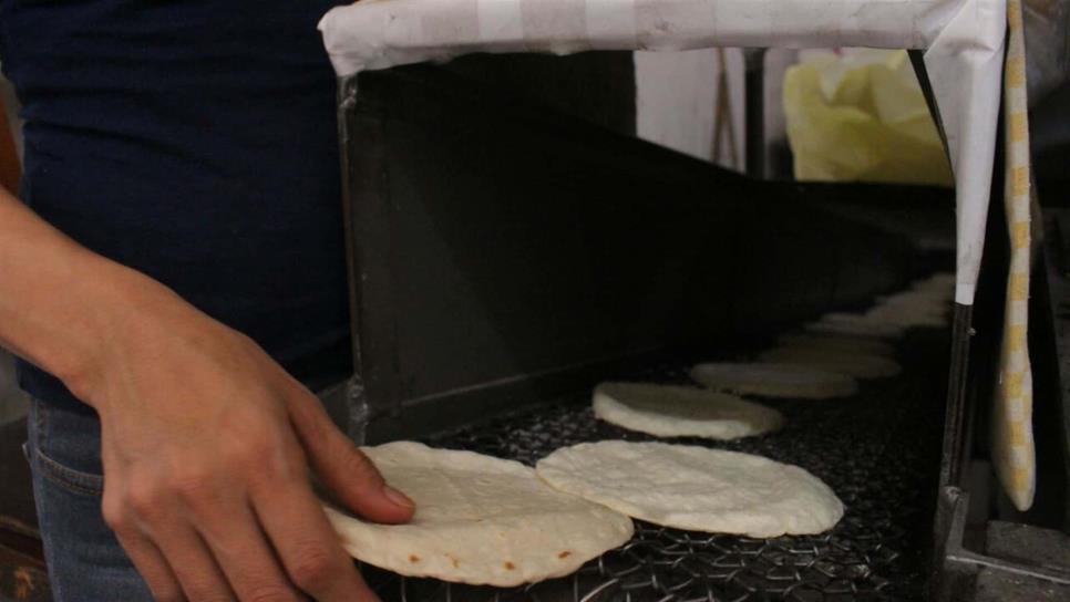 Aumento en precio de tortilla carece de fundamentos Economía