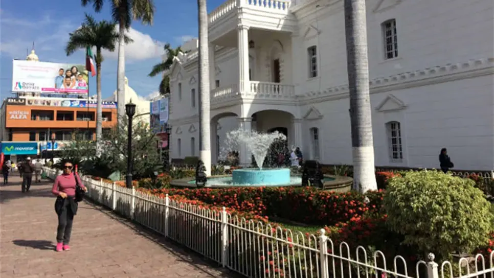 El Ayuntamiento iniciará con la recolección de pinos de Navidad. FOTO: Archivo Luz Noticias.