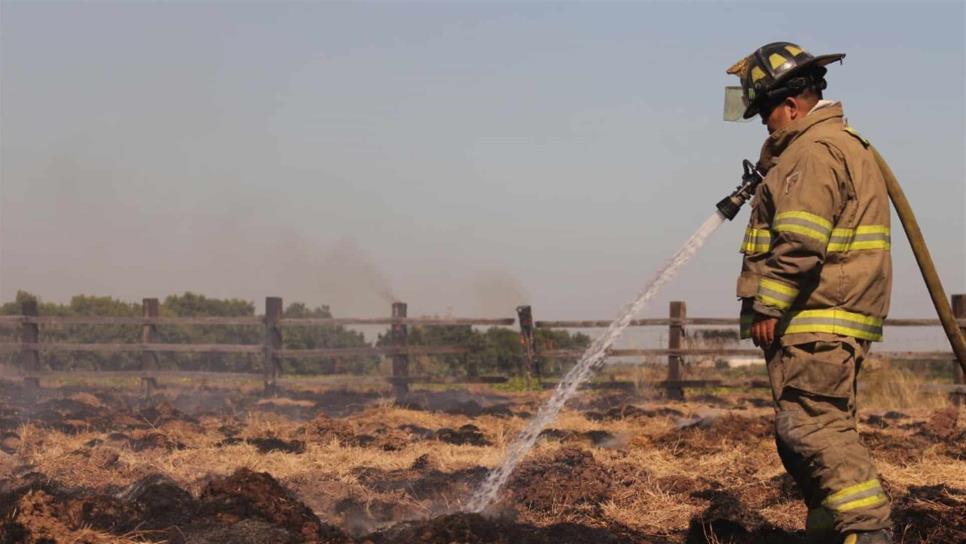 Se incendian 60 pacas de alfalfa frente al Nuevo Horizonte