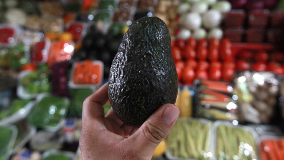 Aguacate regresa a $70 por kilo en mercados del país