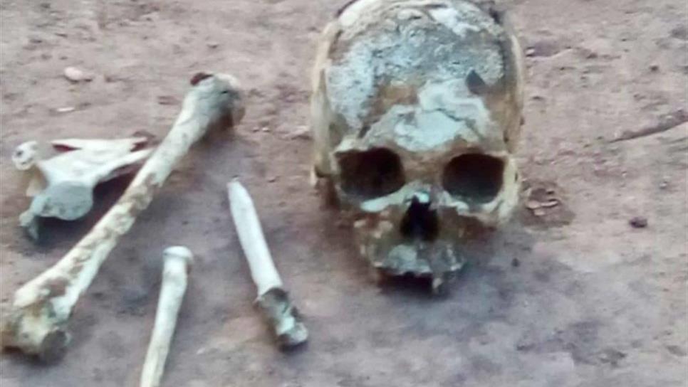 Rastreadoras de El Fuerte localizan osamenta cerca de El Mezquital