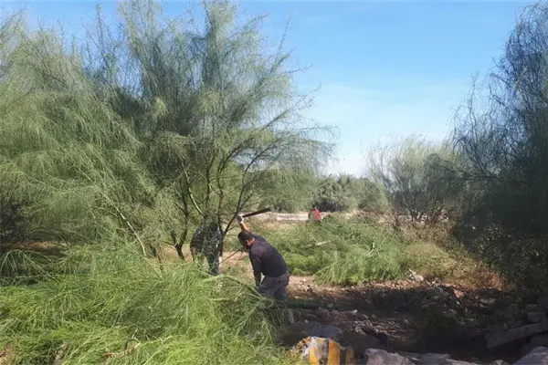 Hartos vecinos del fraccionamiento Aurora por robos domiciliarios Hartos vecinos del fraccionamiento Aurora por robos domiciliarios