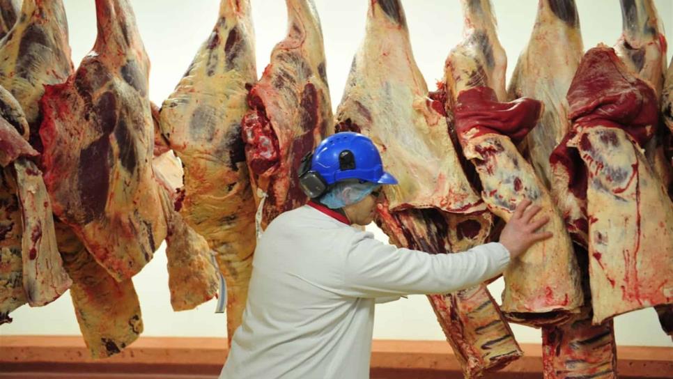 Europa intenta frenar exportaciones mexicanas de carne