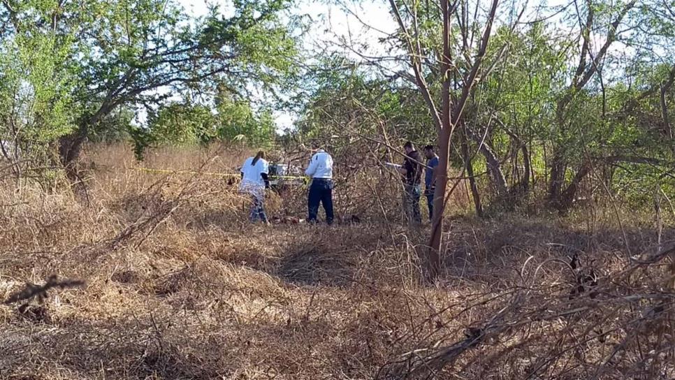 Encuentran cadáver entre el monte en Villas del Río