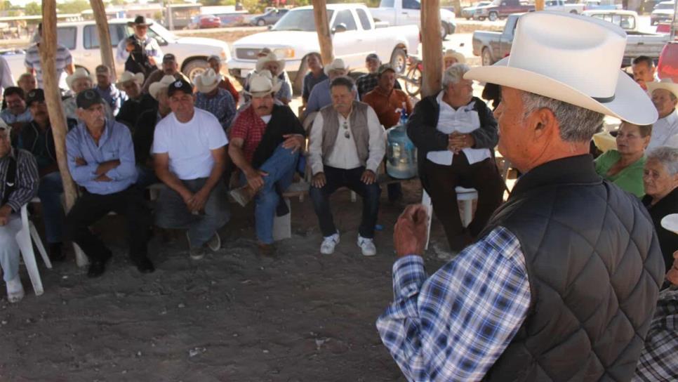 Registra avance del 50% el pago a trigueros de Sinaloa