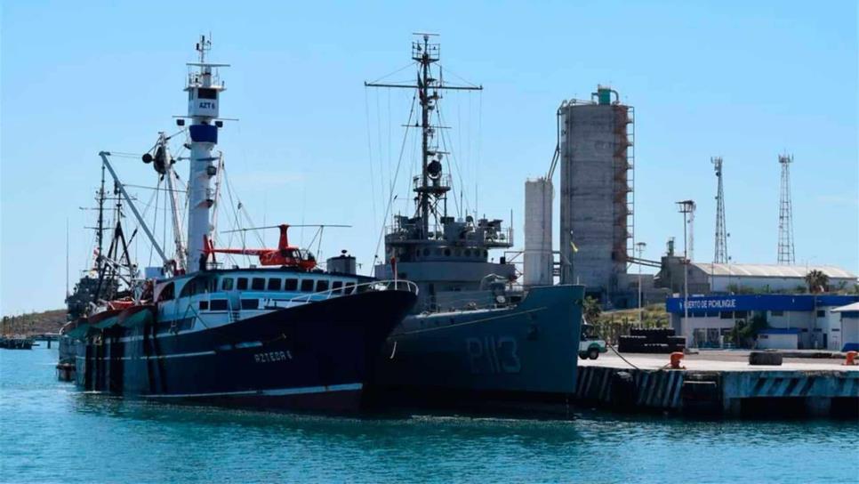 Barco atunero paga multa de 3.6 mdp por pescar en área protegida