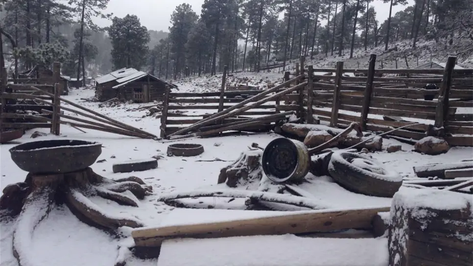 Marca termómetro 11 grados bajo cero en La Rosilla, Durango