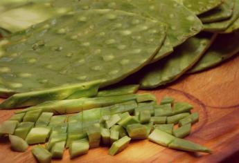 Nopal, alternativa para alimentar al ganado