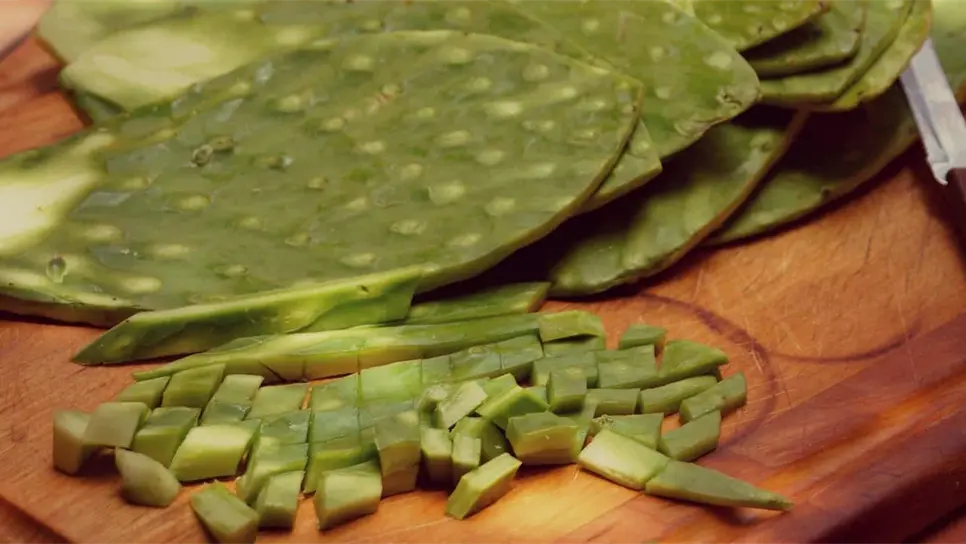 Nopal, alternativa para alimentar al ganado