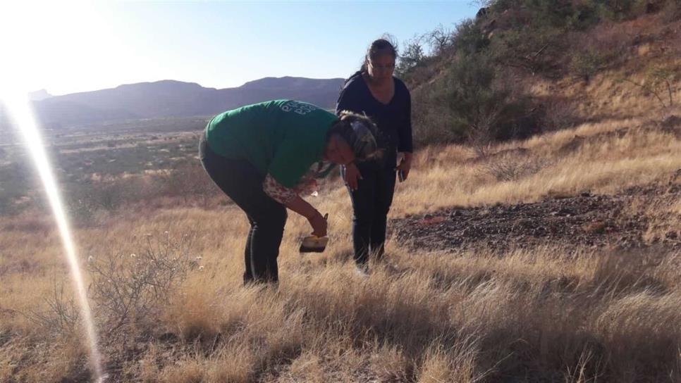 Las Rastreadoras de El Fuerte hallan más osamentas, ahora en Sonora