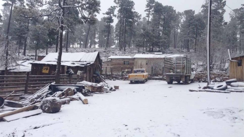 Registran 17 grados bajo cero en La Rosilla, Durango