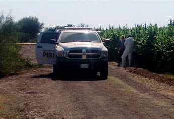 Encuentran dos cuerpos enterrados al norte de Culiacán