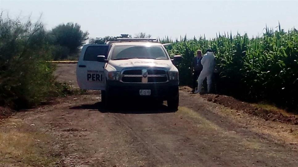 Encuentran dos cuerpos enterrados al norte de Culiacán