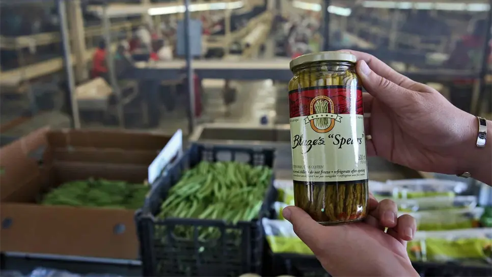 Horticultores mexicanos buscan llegar a Europa con productos procesados