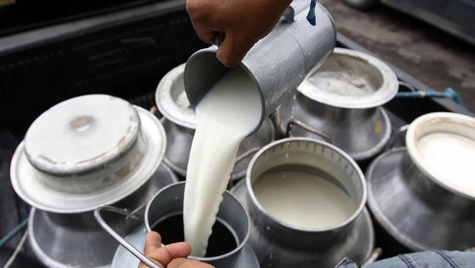 Sin pasteurizar 40 por ciento de la leche y sus derivados Sin pasteurizar 40 por ciento de la leche y sus derivados