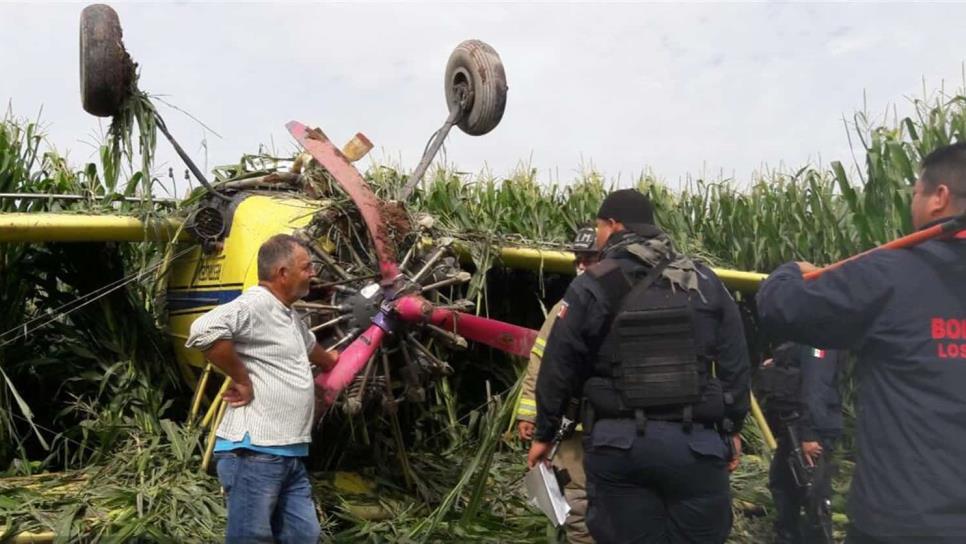 Se desploma avioneta fumigadora en el Campo 35