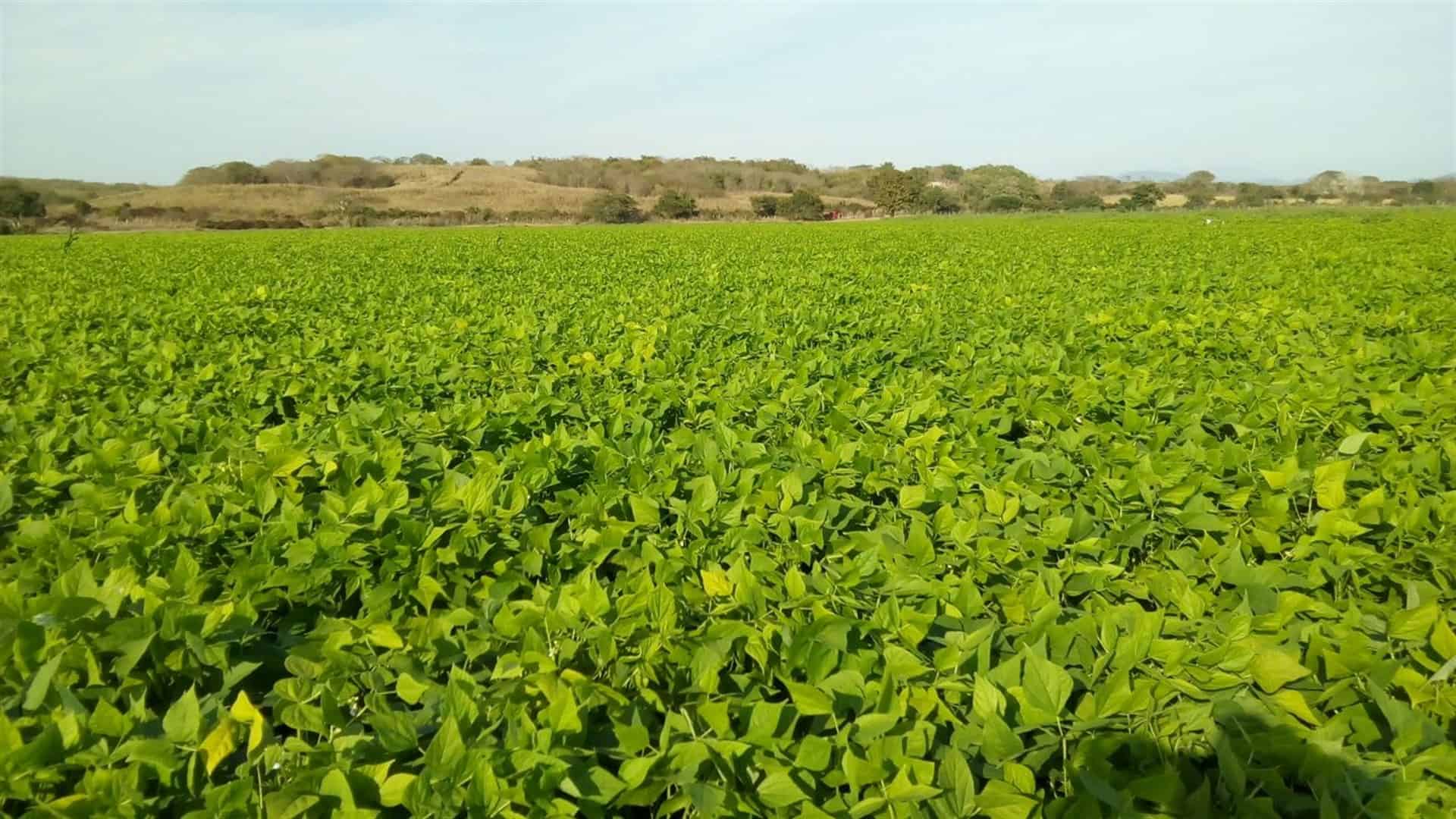 FOTO: Cortesía AARP.