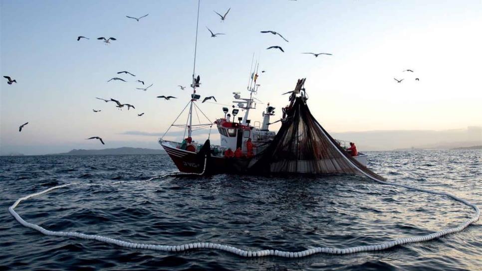 Persiste intención de crear ANP en el Golfo de California