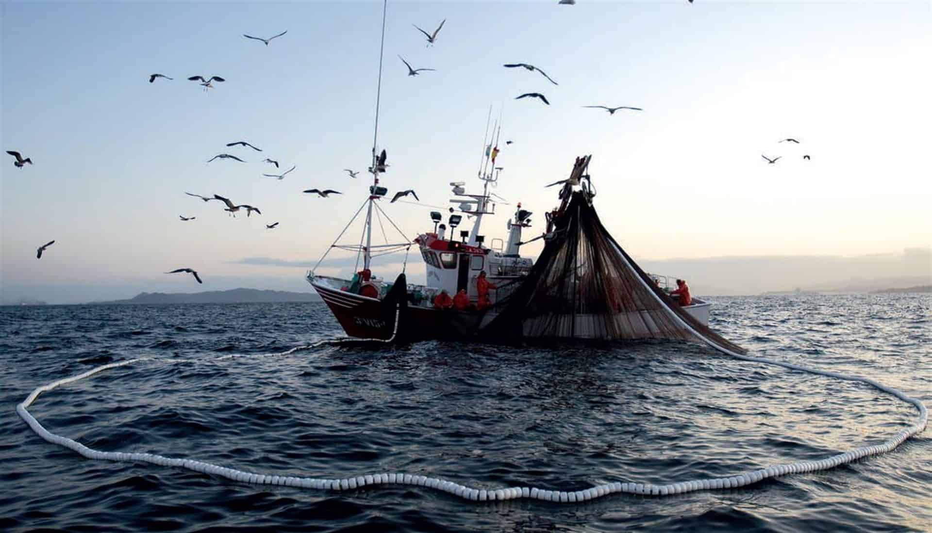 Persiste intención de crear ANP en el Golfo de California