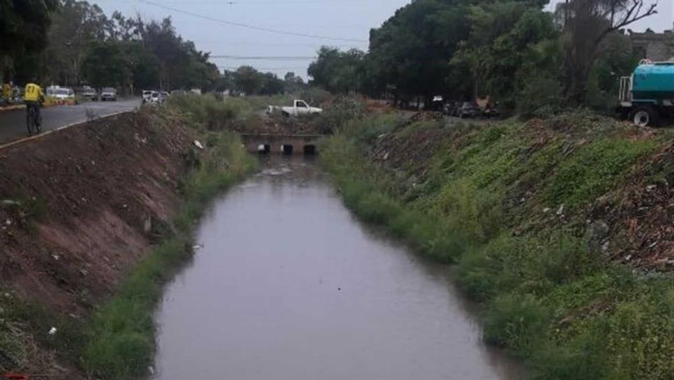 Dren azolvado podría estar ocasionando peste en Culiacán