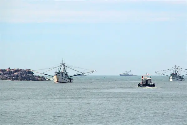 “No hay autoridad en el mar”; acusan pescadores saqueo de camarón “No hay autoridad en el mar”; acusan pescadores saqueo de camarón