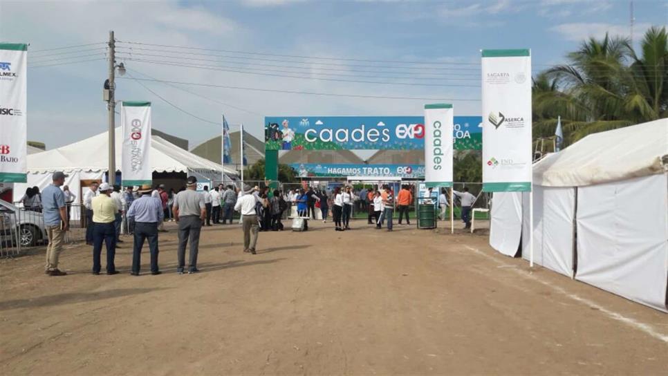 Sinaloa pierde con cancelación de Expo Agro: AARFS