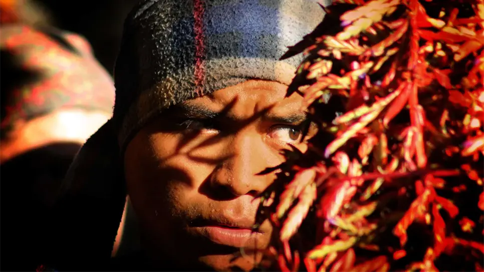 En peligro de extinción 60% de las lenguas indígenas de México