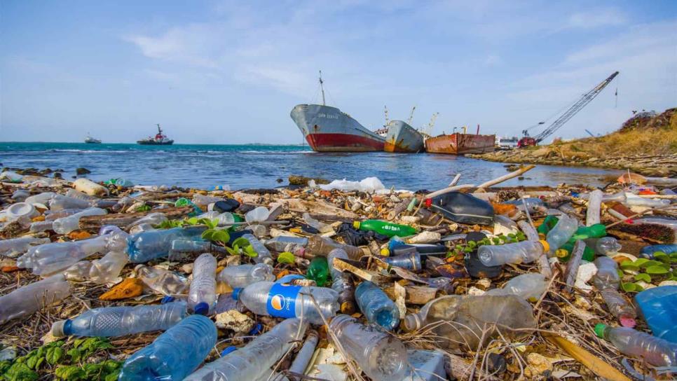 Captan océanos más de 200 kilos de basura cada segundo