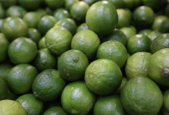 Limón, producto básico con mayor alza en su precio en mercados del país