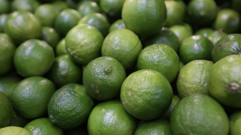 Limón, producto básico con mayor alza en su precio en mercados del país