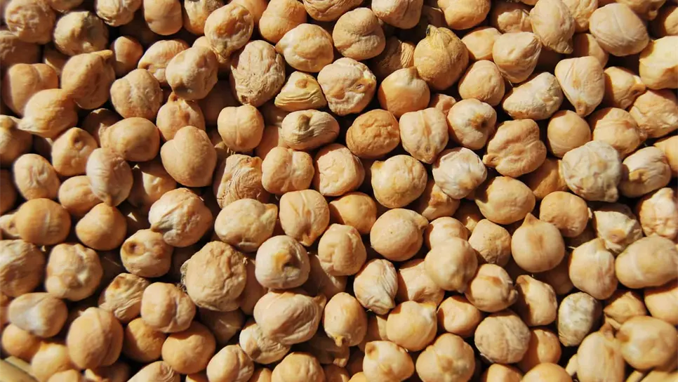 Zonas de temporal beneficiadas por bombardeo de nubes: CAM