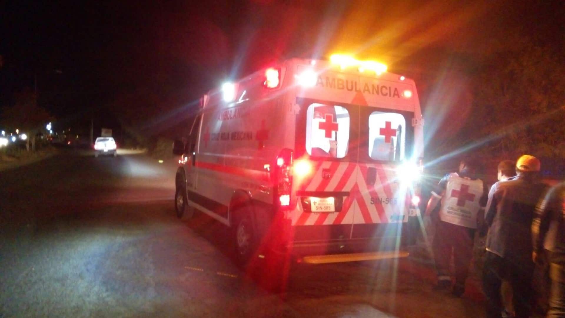 FOTO: Luz Noticias | Temática.