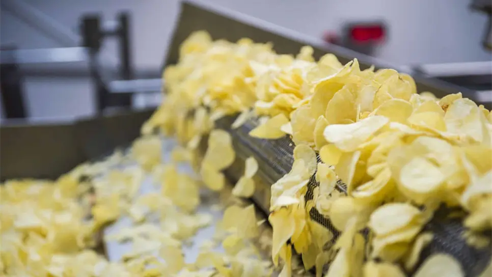 Consumen papas fritas nueve de cada 10 mexicanos