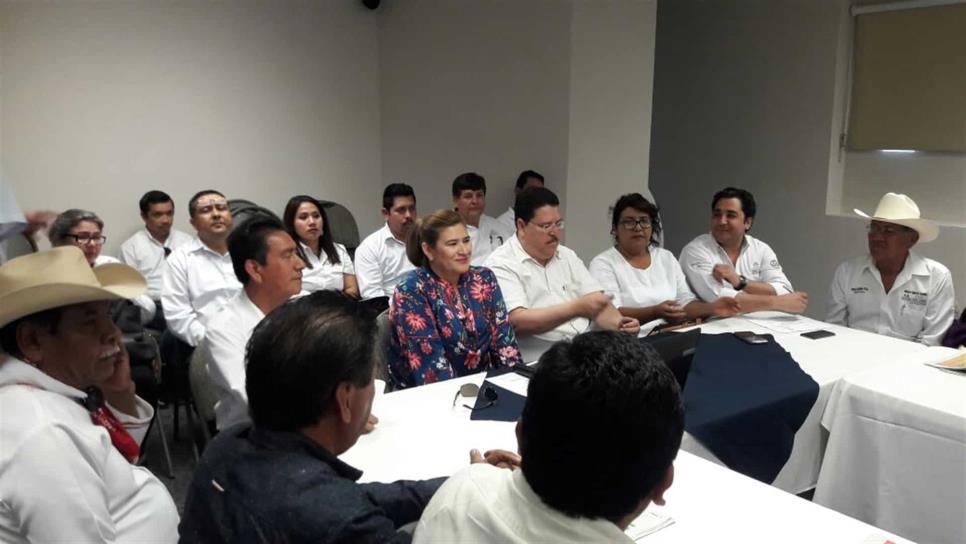 Confirma Mayra Peñuelas su renuncia como delegada del CDI