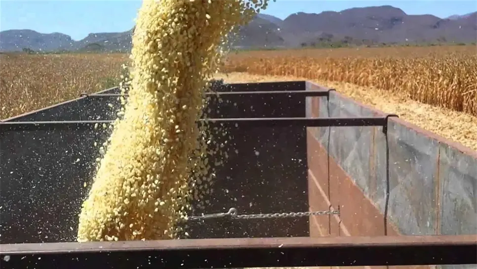 FOTO: Luz Noticias | Archivo.