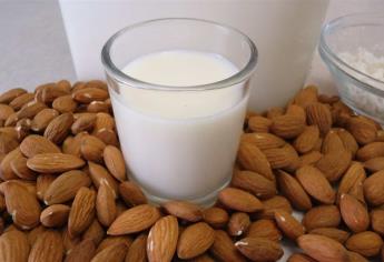 Leche de almendras, alternativa en una dieta más equilibrada y vida sana