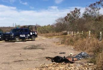 Tiran cadáver a la orilla de la México 15, en Mazatán