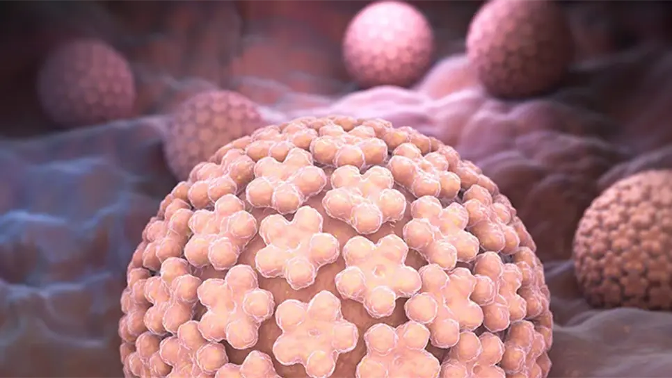 Cada año aumenta cifra de personas con Virus de Papiloma Humano