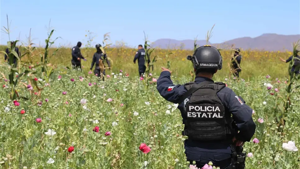 FOTO: Luz Noticias | Archivo.