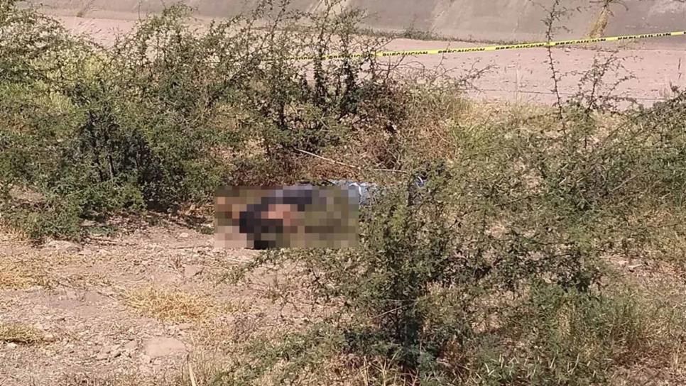 Hallan a hombre asesinado junto al Canal Humaya en Guamúchil