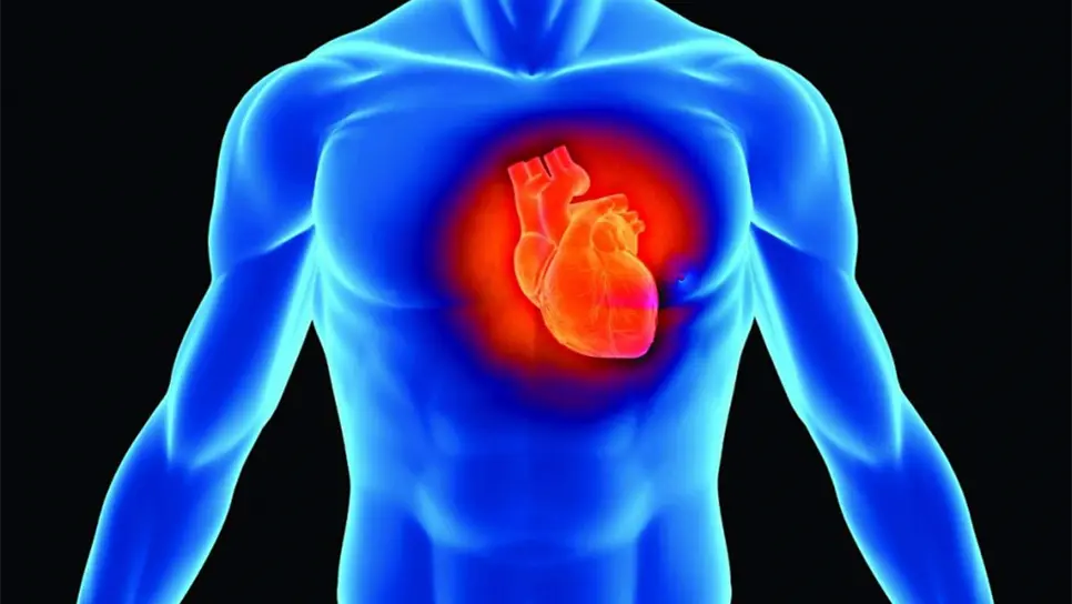 Si no se detecta a tiempo, la arritmia puede ocasionar muerte súbita