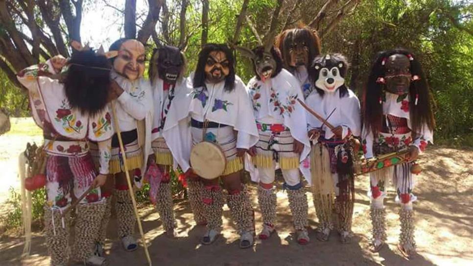 Yoremes piden ayuda para viajar a difundir las artes indígenas