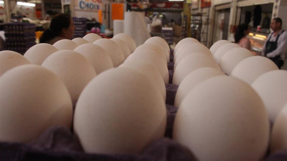Detectan prácticas monopólicas en mercado de huevo