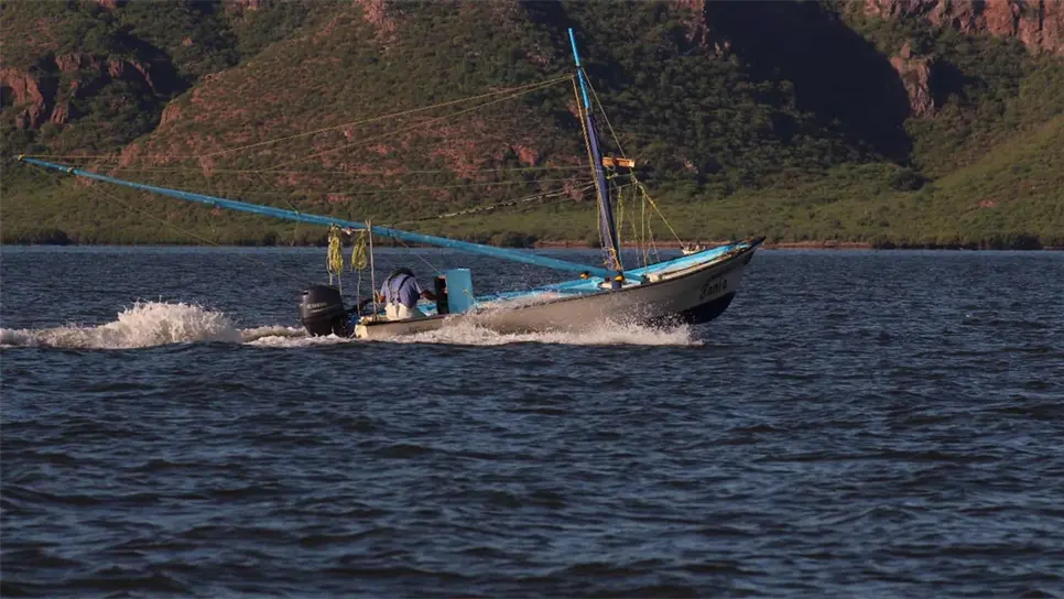 Acuicultores piden incremento al subsidio del diésel marino