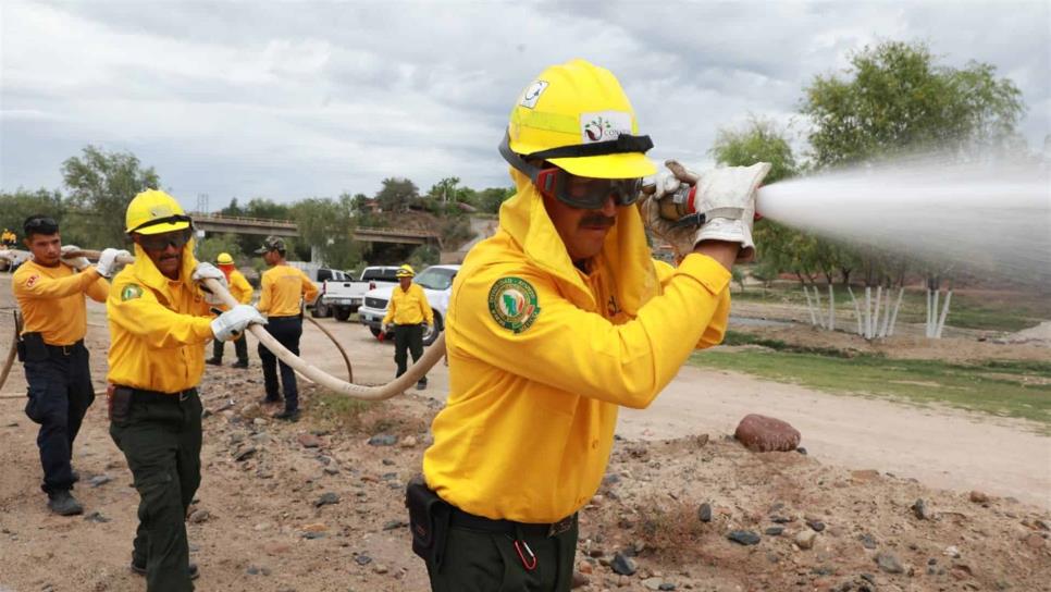 Se han registrado 15 incendios forestales en este año