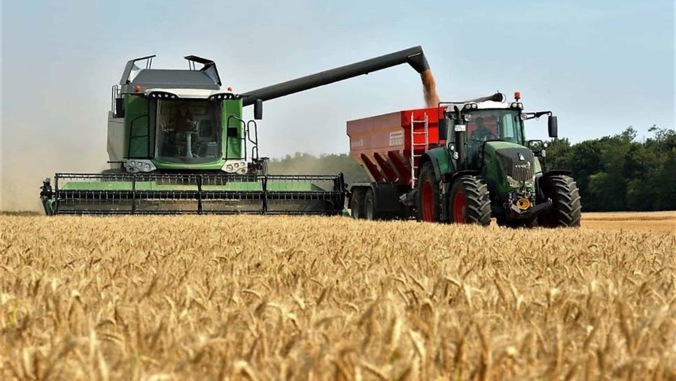 Avanza rápido siembra de trigo en EUA
