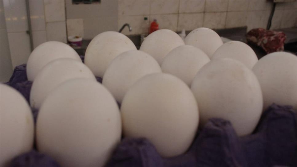 Detectan huevo contaminado en Sinaloa procedente de Jalisco