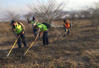 Sofocan incendio forestal en El Rosario