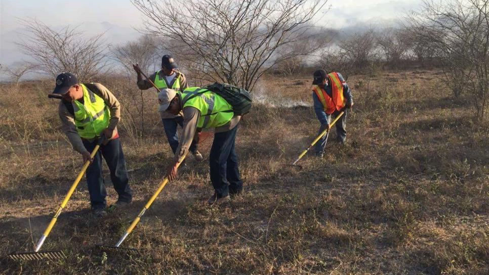 Sofocan incendio forestal en El Rosario